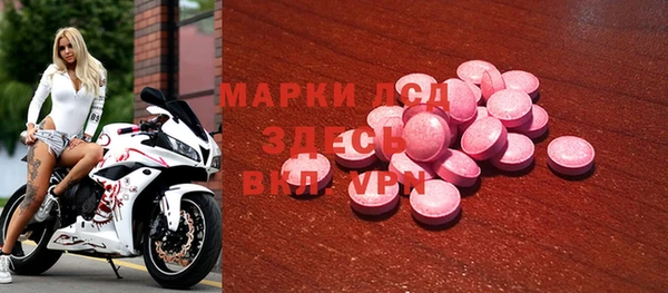 молекула духа Кропоткин