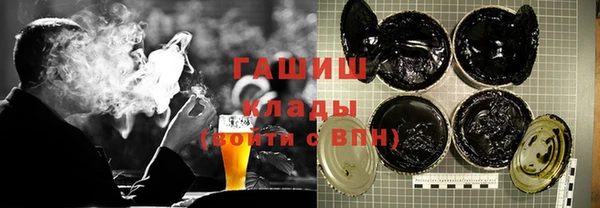 молекула духа Кропоткин