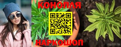 индика Ипатово