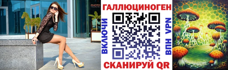 как найти   Павлово  Галлюциногенные грибы Cubensis 