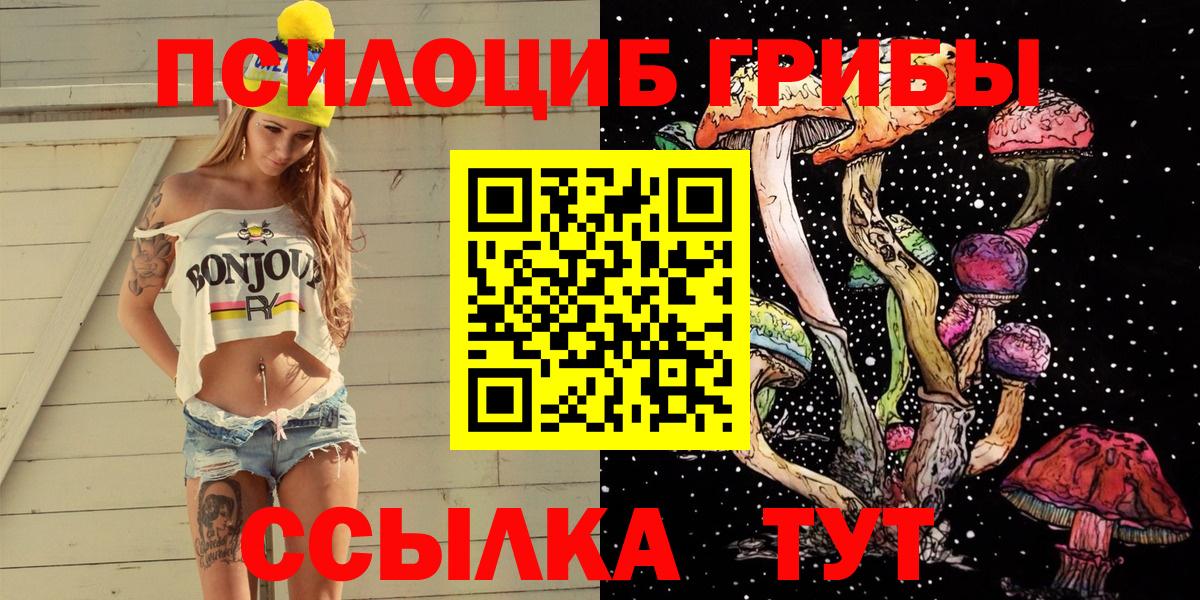 Галлюциногенные грибы Psilocybe  Вход с VPN  Псилоцибиновые грибы ЛСД  Павлово 