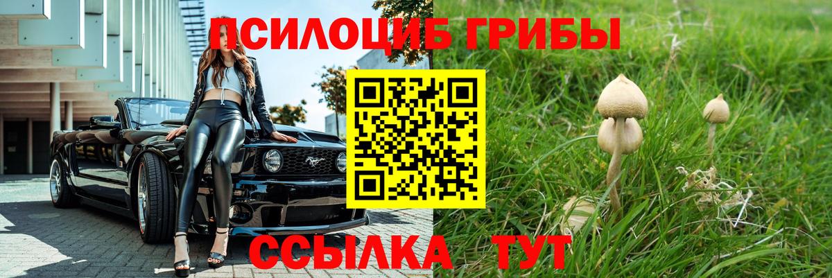 Галлюциногенные грибы MAGIC MUSHROOMS Павлово